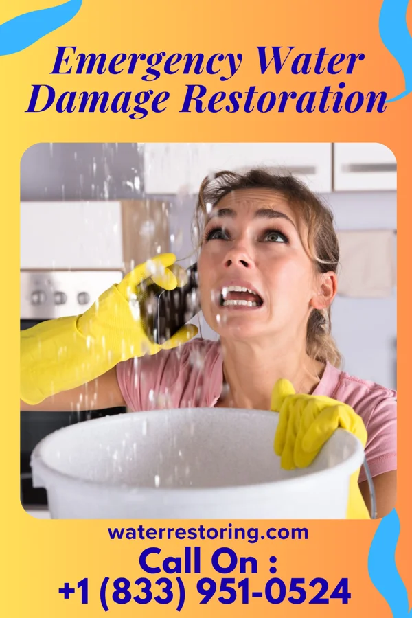 Emergency Water Damage Restoration in Pierce, CO
